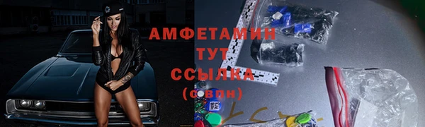 гидра Елабуга