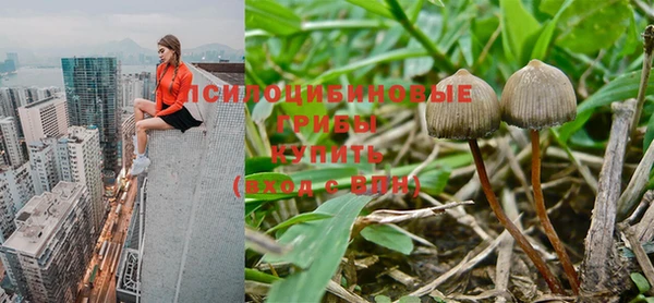 МДПВ Заводоуковск