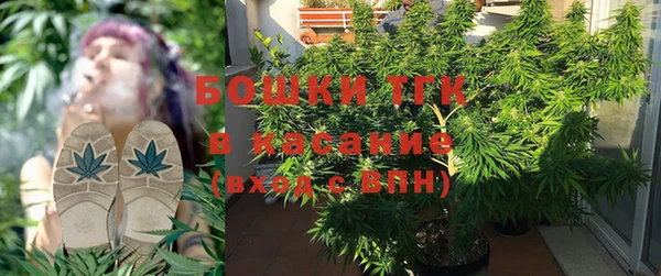 PSILOCYBIN Заволжье