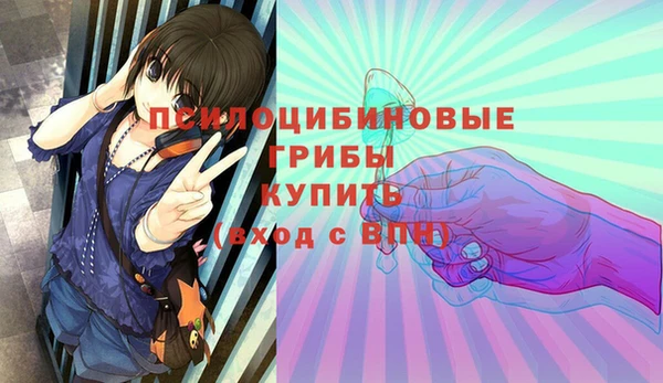 PSILOCYBIN Заволжье
