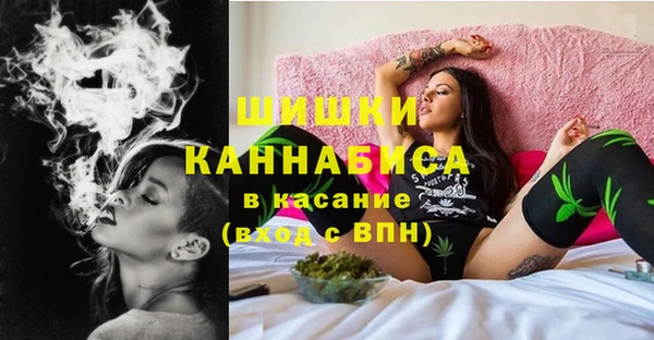 МДПВ Заводоуковск