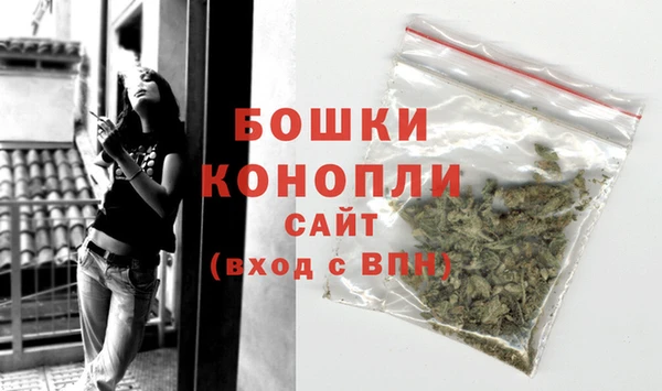 PSILOCYBIN Заволжье