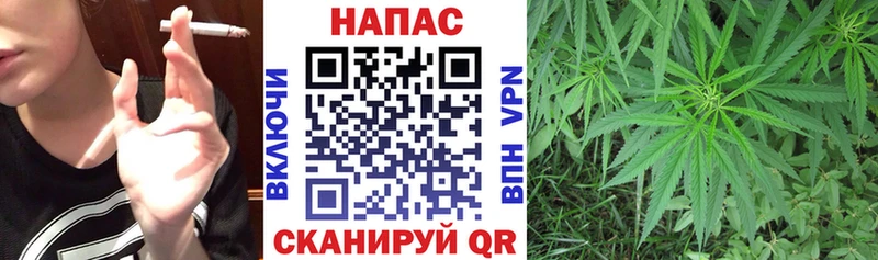 Марихуана SATIVA & INDICA  как найти закладки  Кандалакша 